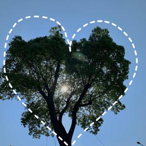 裸体性高朝女人中国管
